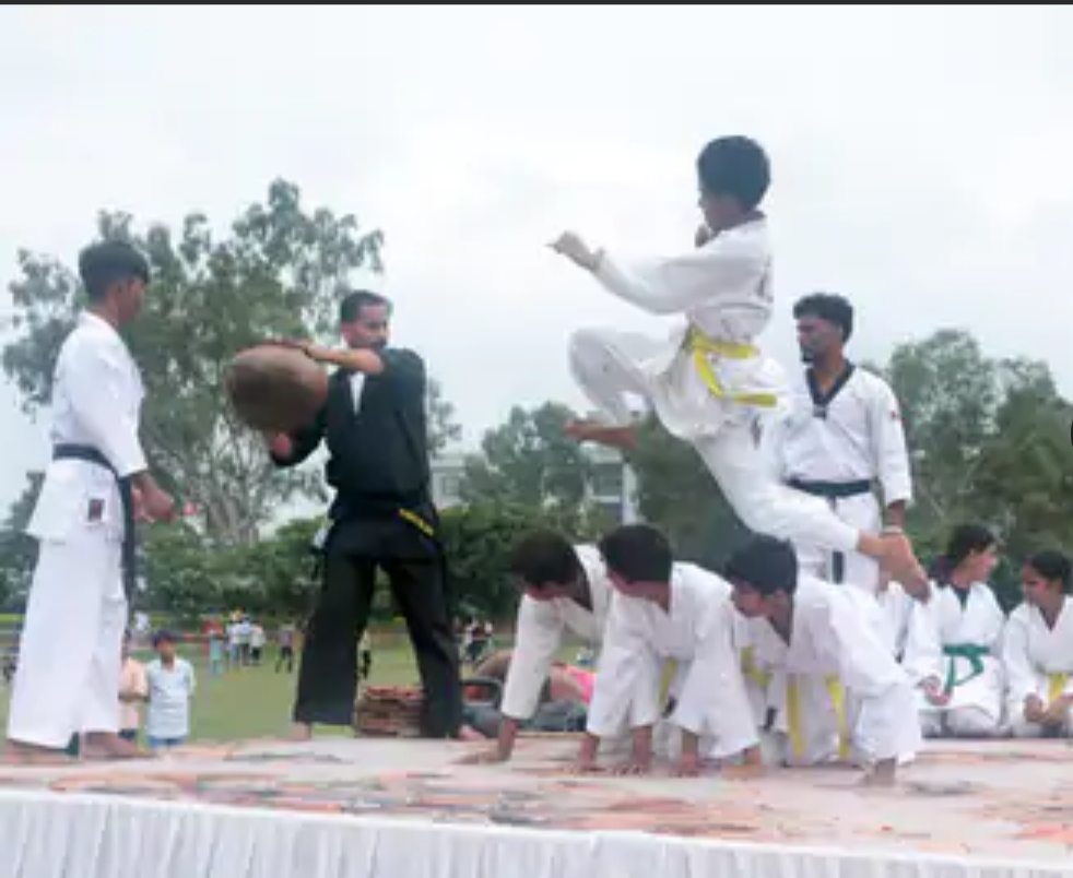 देवली में स्वतंत्रता दिवस पर 69 प्रतिभाओं का सम्मान: अटल उद्यान में हुआ ब्लॉक स्तरीय समारोह, एसडीओ रूबी अंसार ने किया ध्वजारोहण