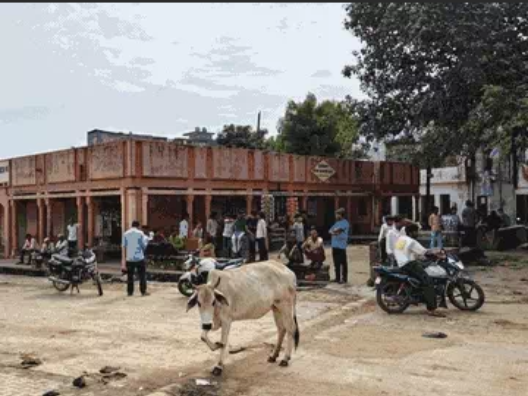 घाड़ में बेकाबू ट्रैक्टर ने बछड़े को घसीटा:ड्राइवर ने ग्रामीणों को कुचलने का प्रयास कर भगाया वाहन