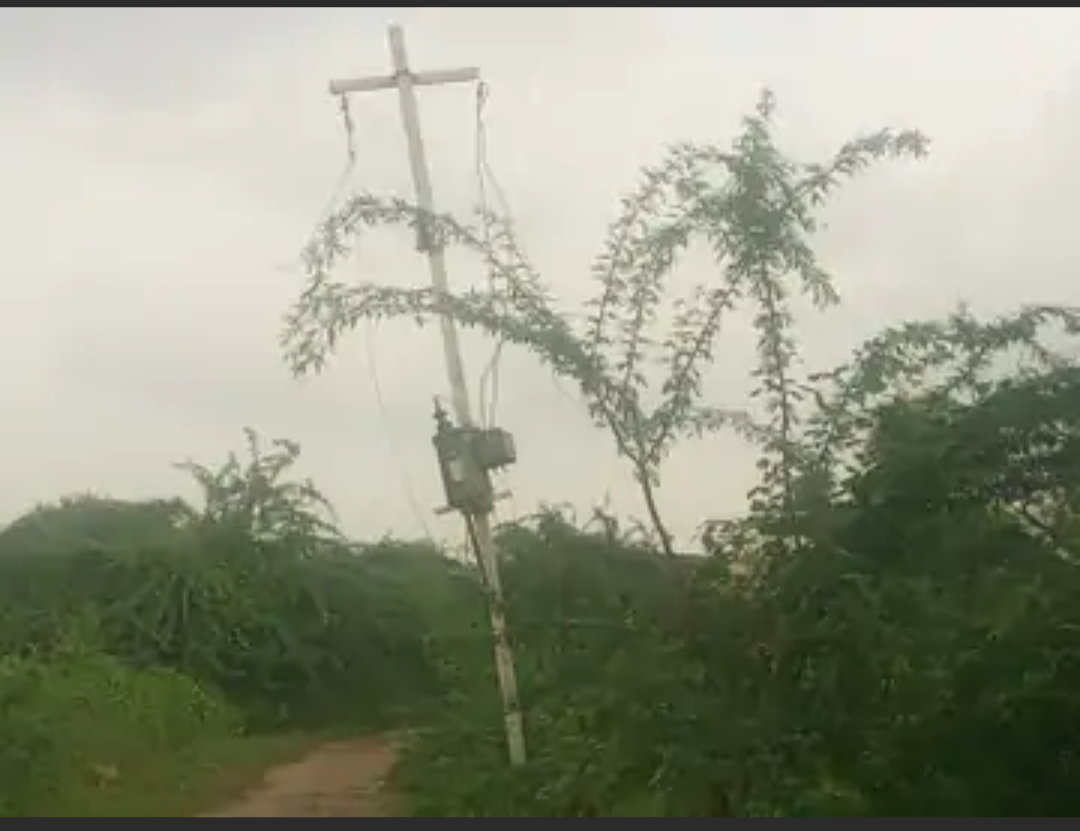 नवरंगपुरा में 6 माह से नई डीपी का कनेक्शन नहीं:आंधी से क्षतिग्रस्त, अधीक्षण अभियंता बोले- जल्द समाधान करवाया जाएगा