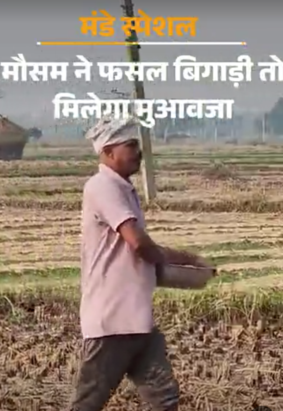 मौसम ने फसल बिगाड़ी तो किसान को मिलेगा पूरा मुआवजा:अनार-किन्नू खराब होने पर भी मिलेगा बीमा क्लेम; जानें कितना देना होगा प्रीमियम