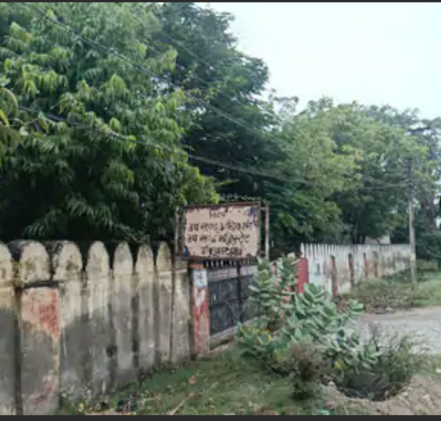 उनियारा-टोंक रोड पर 11 केवी पोल झाड़ियों से घिरा:पुलिस उपाधीक्षक कार्यालय के सामने भी तार के पास घनी बेल; हादसे का खतरा
