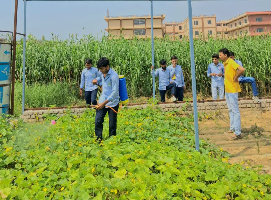 डॉ. दयाशंकर मीणा ने खेत में उतारकर कृषि विद्यार्थियों को पढ़ाया फसल सुरक्षा का पाठ