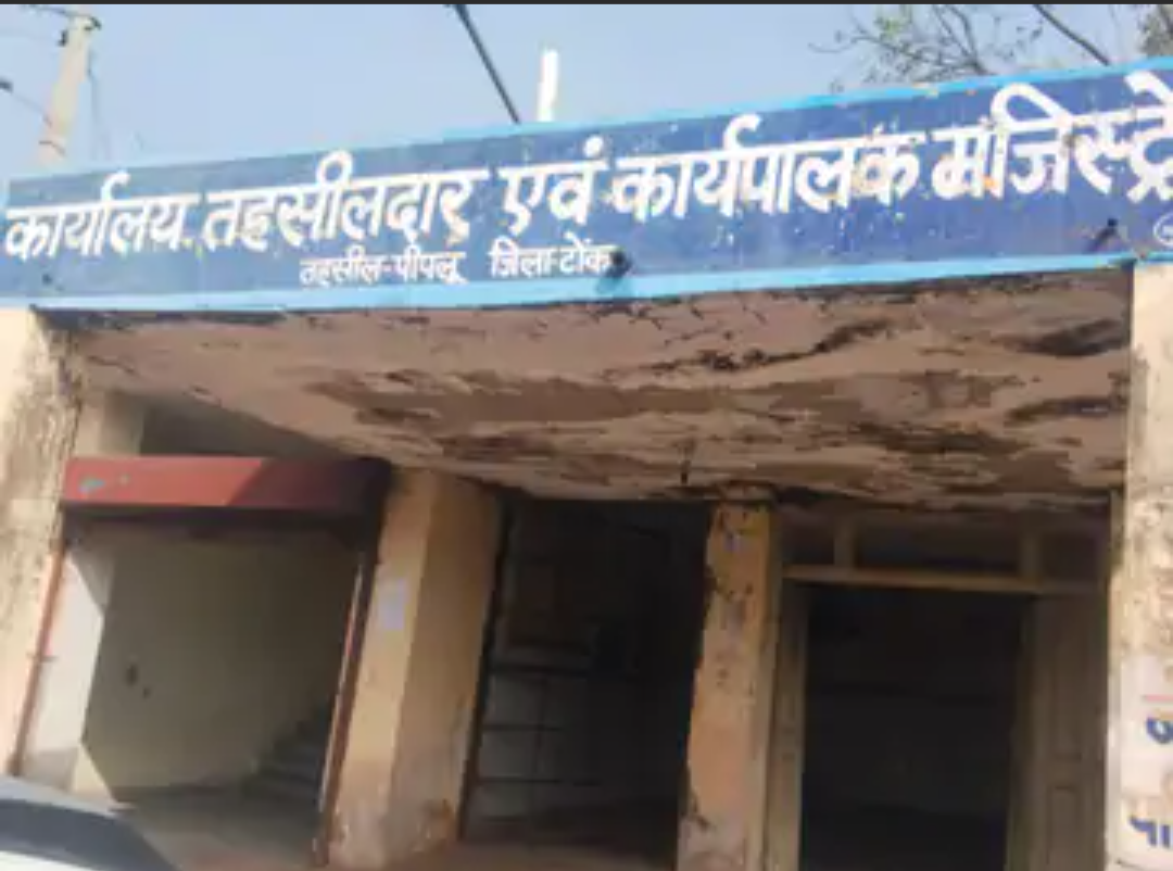 पीपलू में 13 नए पटवारियों की नियुक्ति:राजस्व कार्यों में तेजी आएगी, ग्रामीणों को मिलेगी सुविधा
