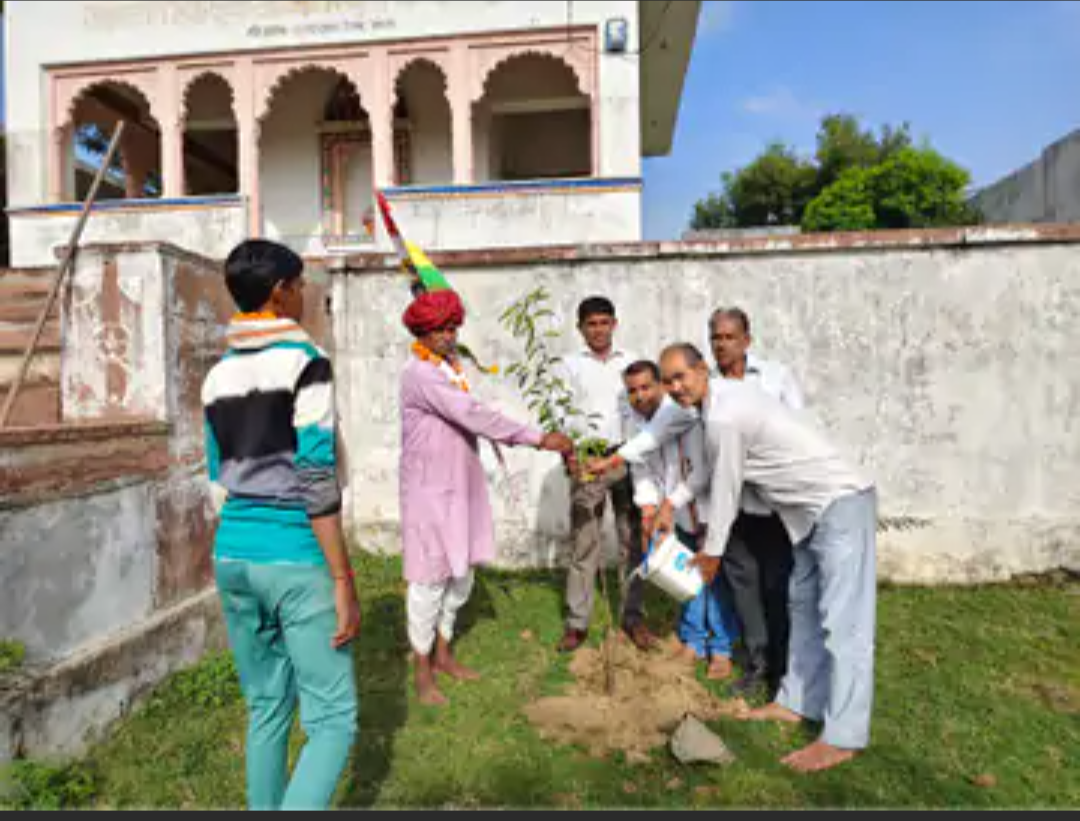 बाबा रामदेव मंदिर परिसर में पौधरोपण:बैरवा समाज विकास समिति ने लगाए पौधे, संरक्षण का लिया संकल्प