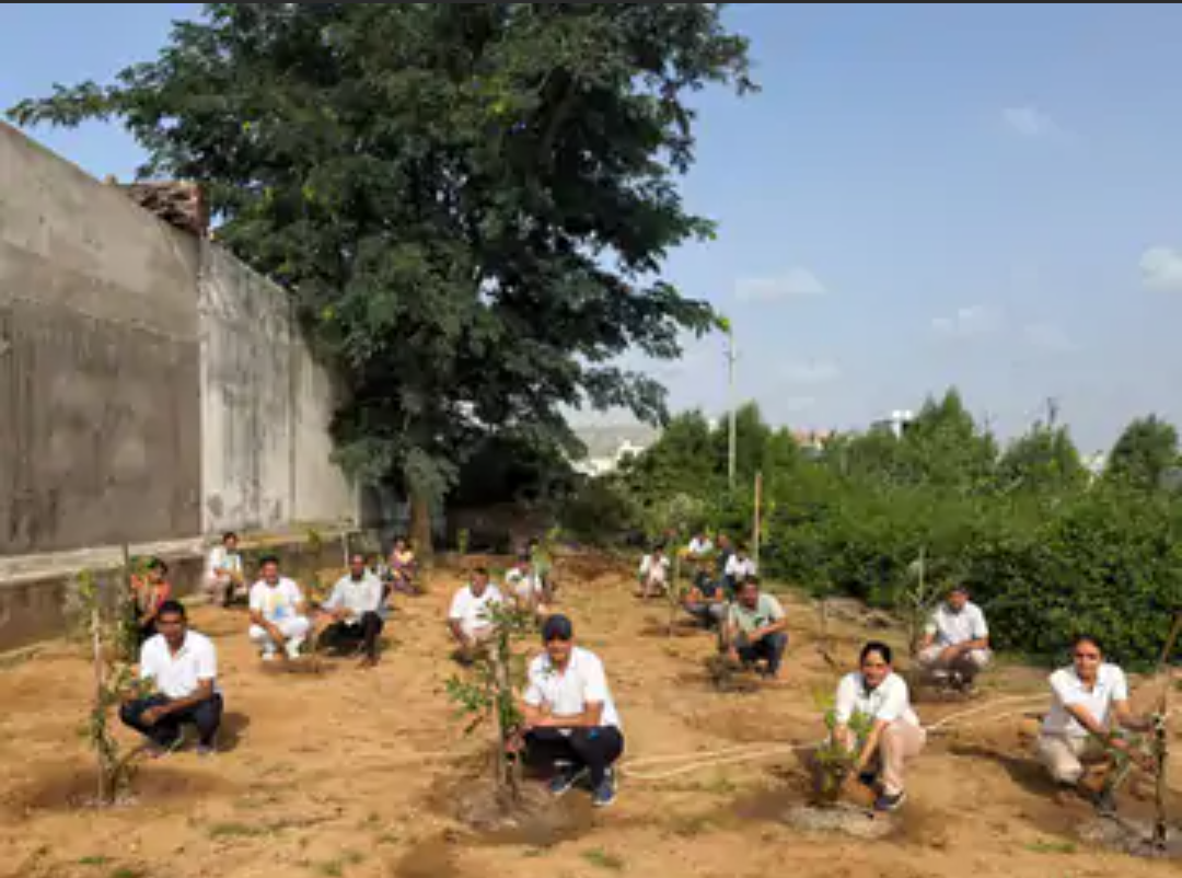 निवाई में पुलिस ने लगाए 120 पौधे: हरियालो राजस्थान अभियान के तहत पौधारोपण, जवानों ने ली देखभाल की जिम्मेदारी