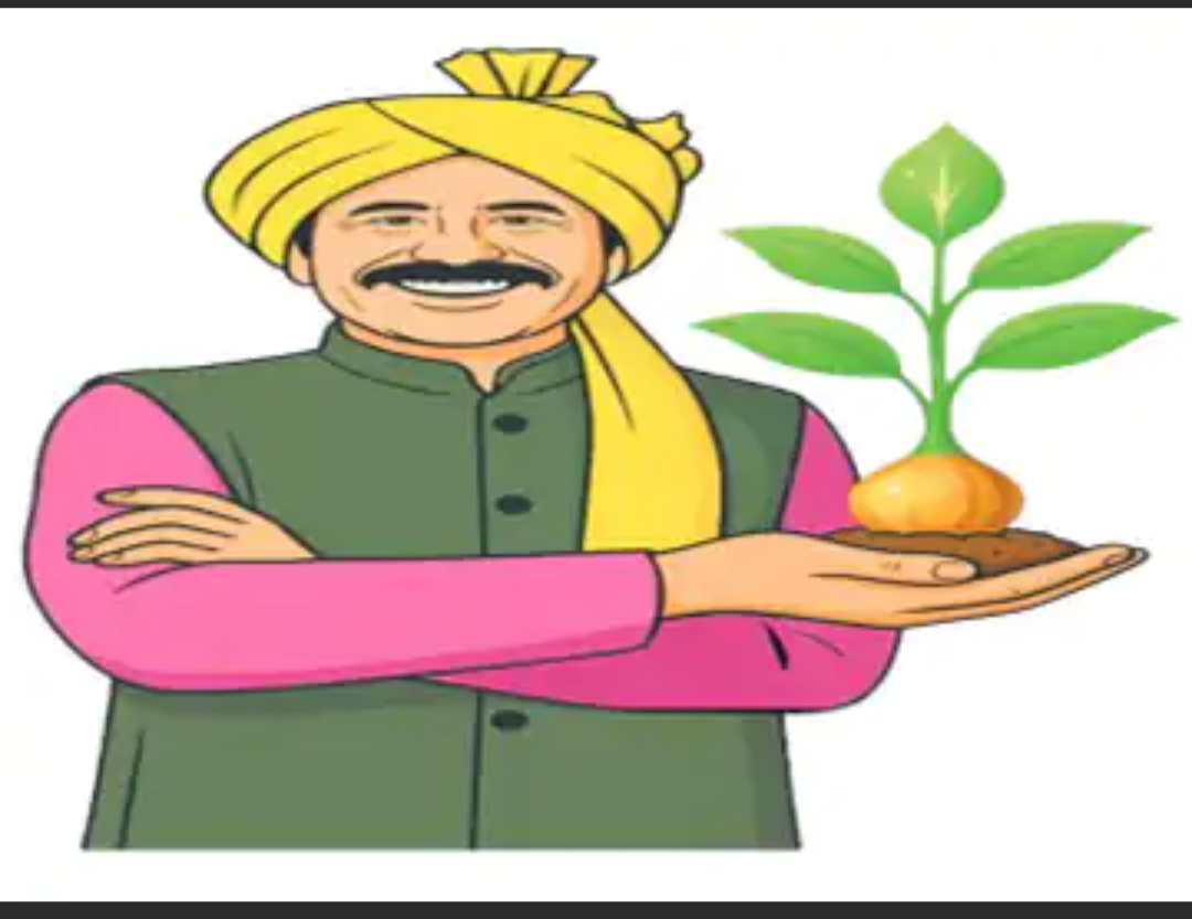 सीकर के संजय यादव का नवाचार:धनधान्य योजना के उद्घाटन पर पीएम को बताया था जैविक खेती का मॉडल