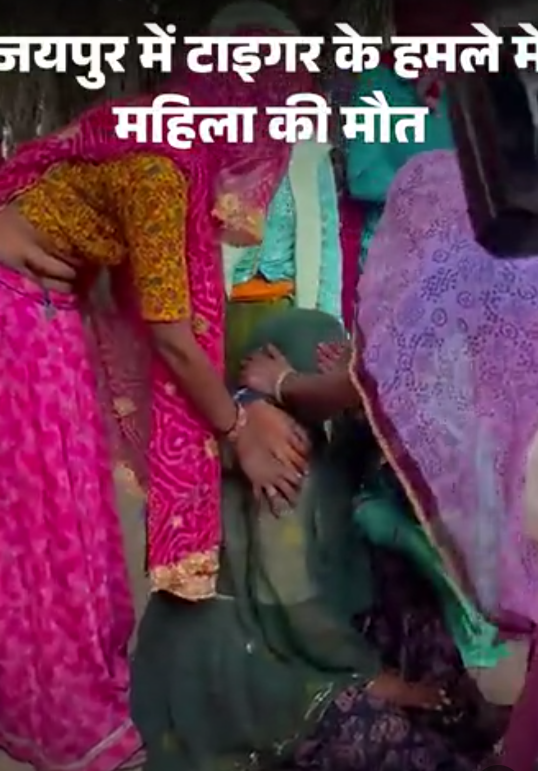 जयपुर के चिड़ियाघर में टाइगर का हमला, महिला की मौत:बाड़े में घास काटने घुसी थी, साथियों का दावा- किसी ने जानबूझकर पिंजरे का गेट खोला