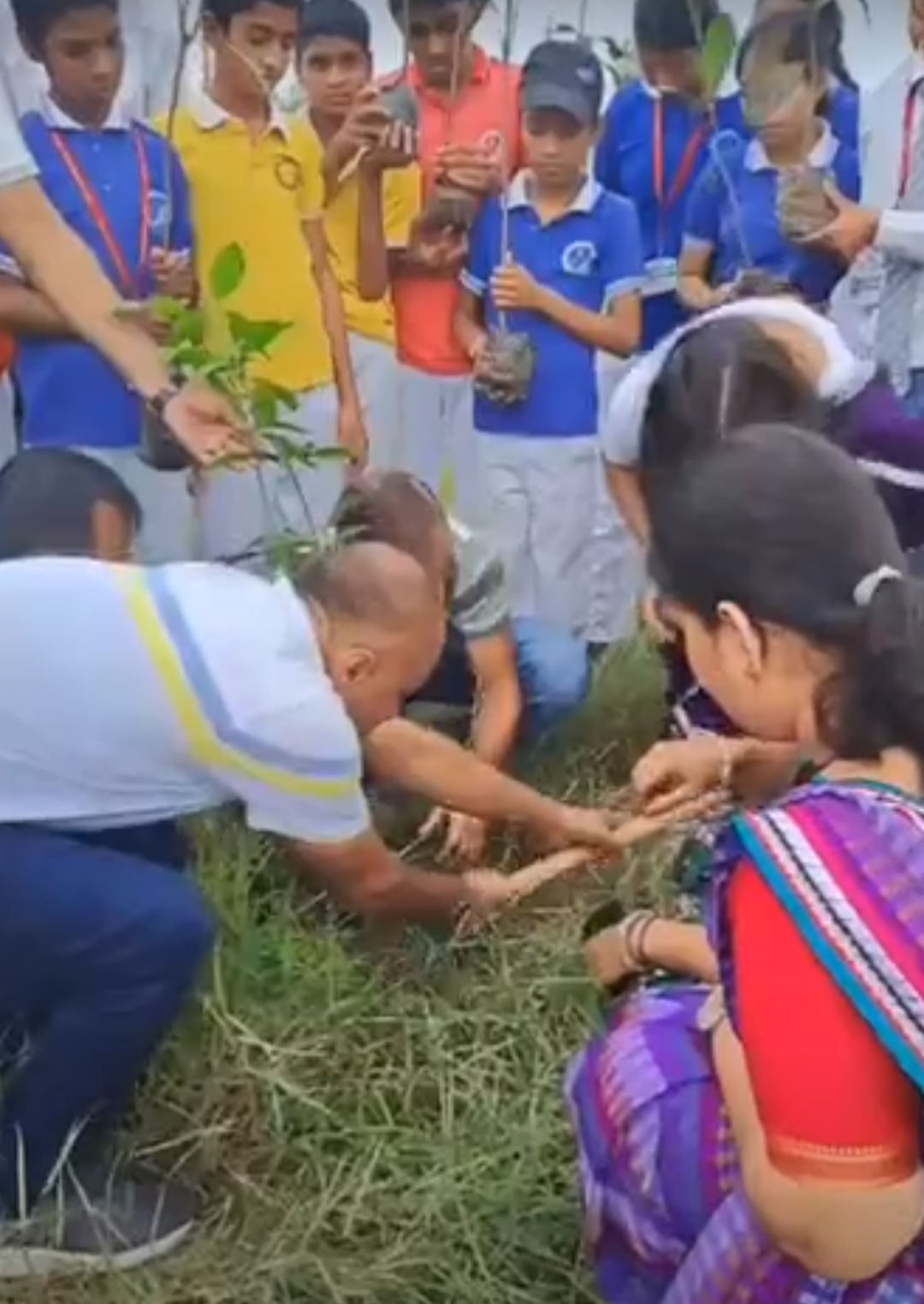 शिक्षक-संघ रेसटा प्रदेश में लगाएगा 5 हजार पौधे:सातवें स्थापना दिवस पर हुआ पौधरोपण, जिले में लगेंगे 1101 पौधे