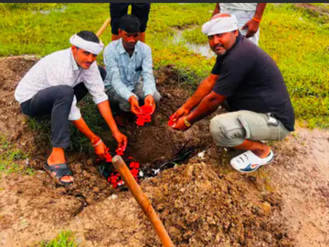 सिसोला में ट्रांसफार्मर में करंट दौड़ने से मोर की मौत:ग्रामीणों ने सम्मानपूर्वक किया अंतिम संस्कार, बिजली विभाग से जर्जर तारों को बदलने की मांग