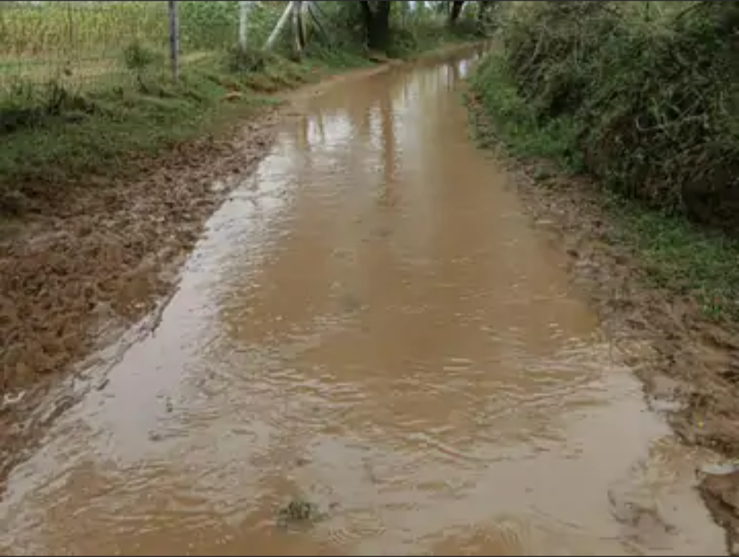 नामुंडा की ढाणियों का रास्ता बारिश के चलते डूबा:जलभराव के चलते आवाजाही ठप, ग्रामीण बोले- शिकायत के बाद भी सुनवाई नहीं