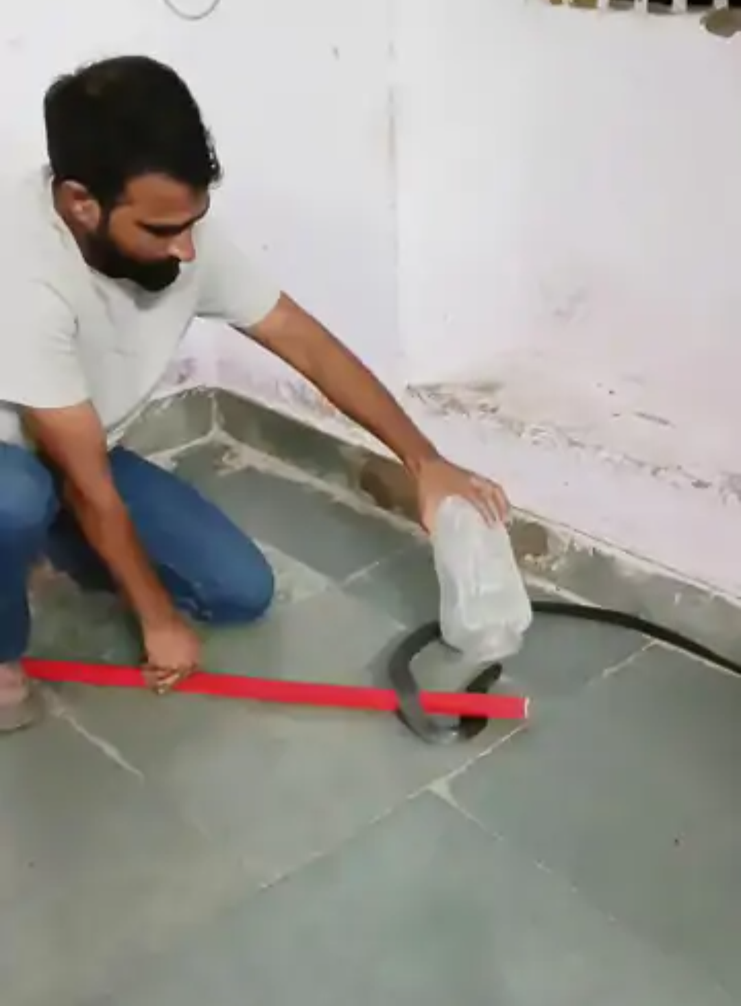 जेल परिसर में 5 फीट लंबा कोबरा पकड़कर और वन क्षेत्र में छोड़ा