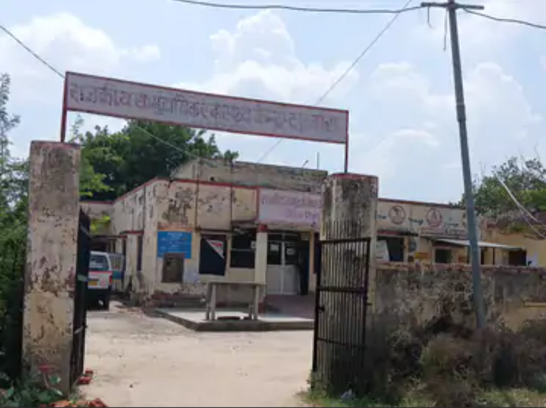 दतवास में बंदरों ने पानी की टंकियां तोड़ीं:घरों में घुसकर सामान ले गए; बच्चे-बुजुर्ग बाहर निकलने से डरते हैं