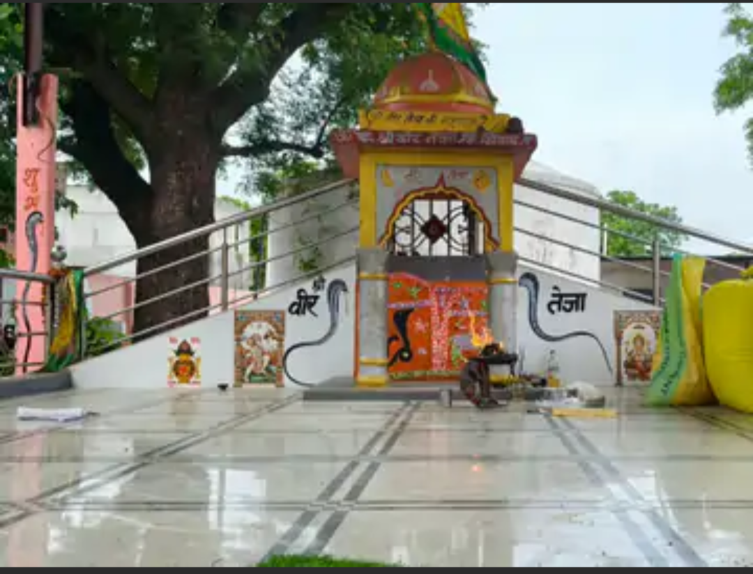 थली गांव में कल सजेगा वीर तेजाजी महाराज का दरबार:लीलण घोड़ी नृत्य और भजन संध्या रहेगी आकर्षण