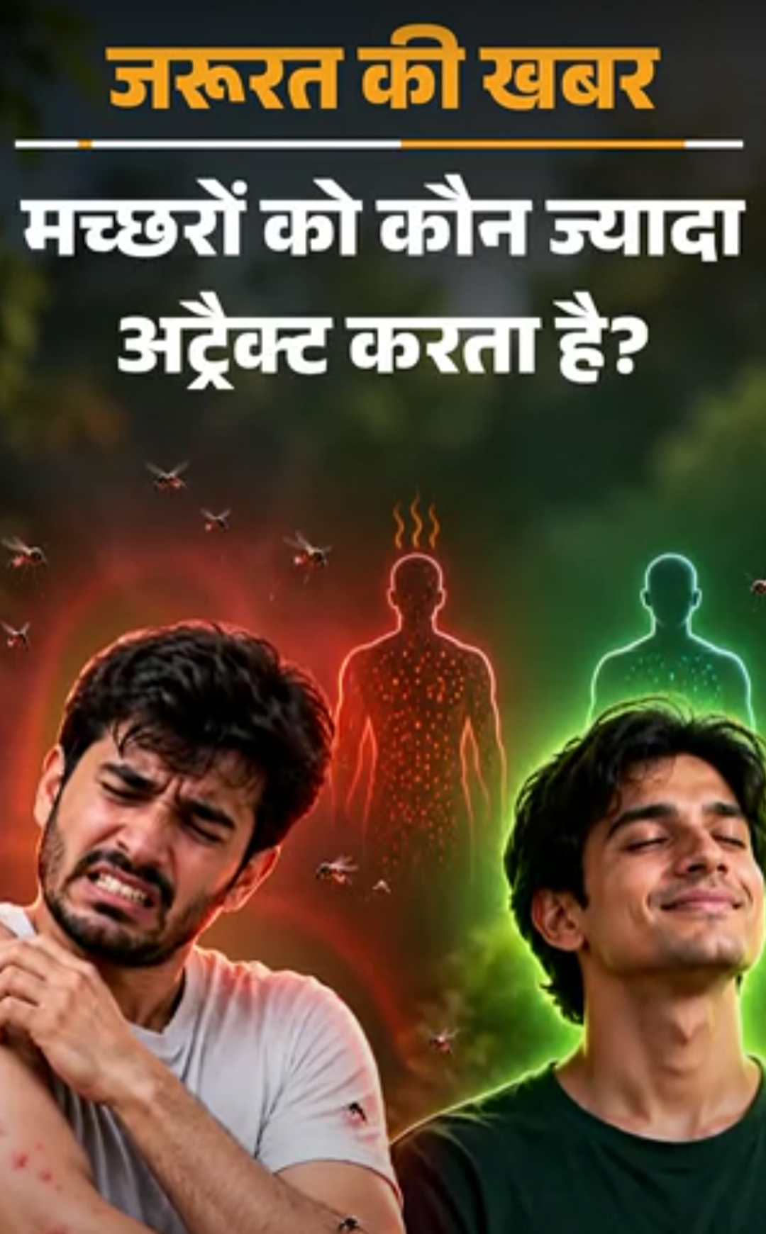 जरूरत की खबर- क्या मच्छर आपको ज्यादा काटते हैं:समझें इसका साइंस, किन चीजों से आकर्षित होते मच्छर, बचाव के 7 आसान टिप्स