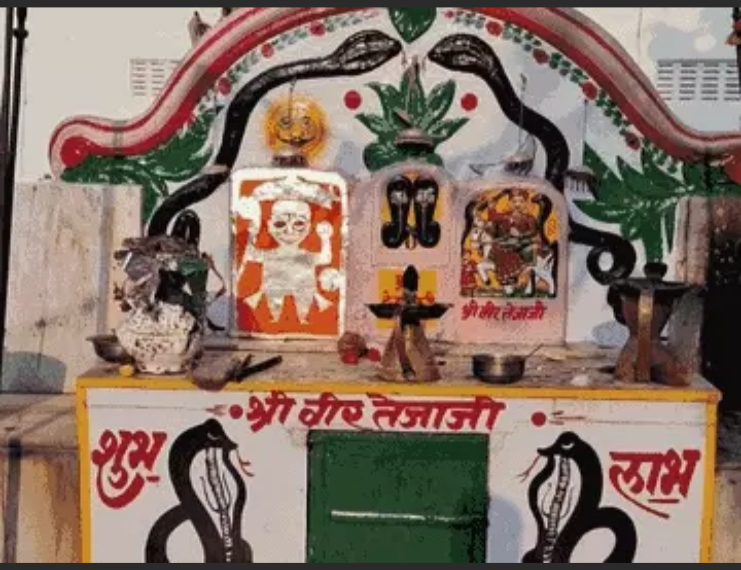 तेजाजी चौक में तीन दिवसीय तेजाजी का मेला लगा:कलाकारों ने भजनों की प्रस्तुति दी, श्रद्धालु ने डांस किया