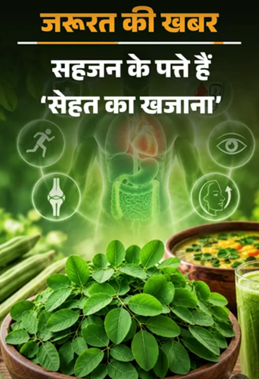 जरूरत की खबर- सहजन के पत्ते हैं ‘सेहत का खजाना’:ब्लड शुगर करे कंट्रोल, पाचन रखे दुरुस्त, डॉक्टर से जानें इसे खाने का सही तरीका