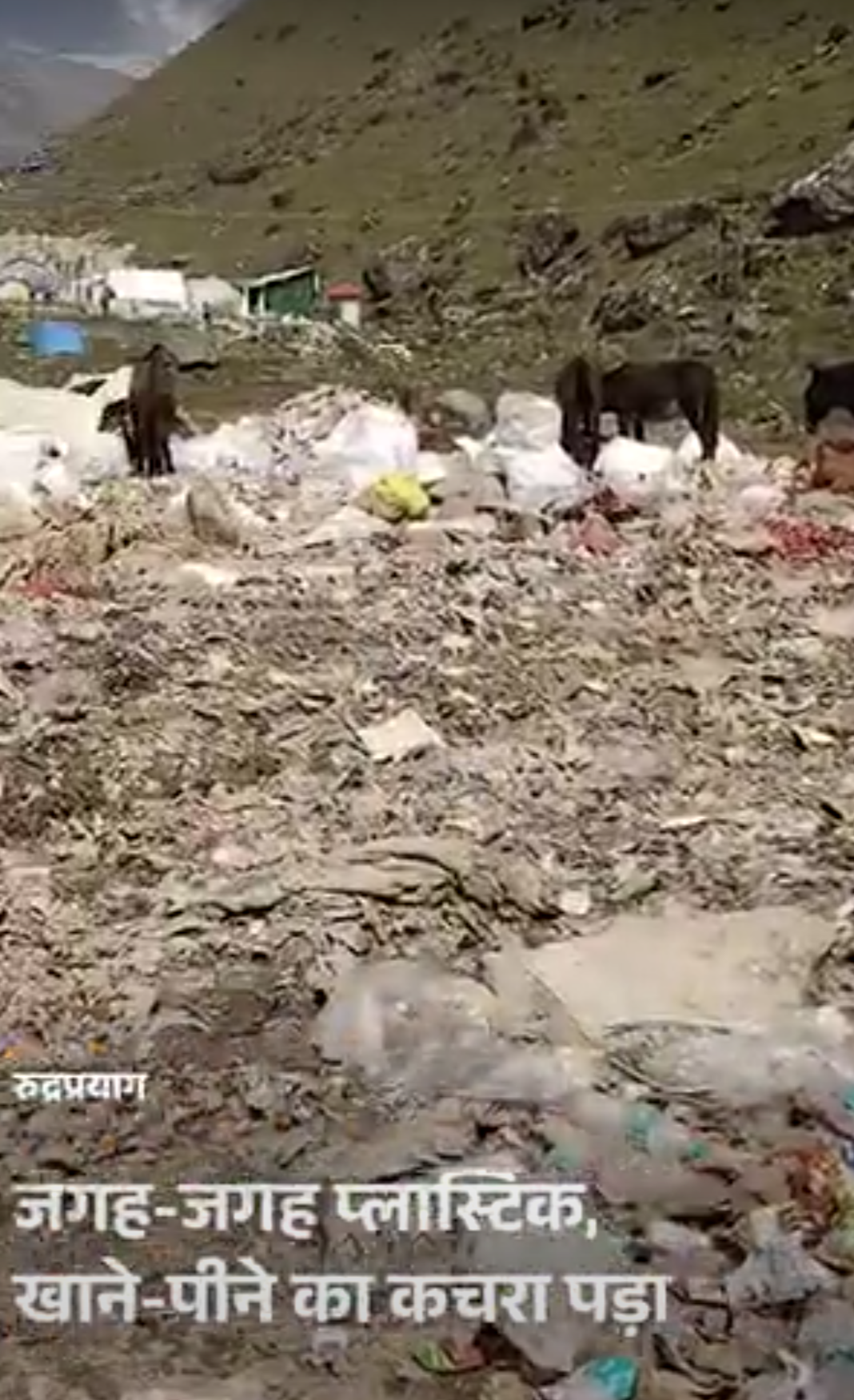 केदारनाथ में 15.45 लाख लोगों ने फैलाया 250 टन कचरा:पिछले साल से 10.7 गुना ज्यादा; श्रद्धालुओं ने 12 टन कूड़ा ढोया