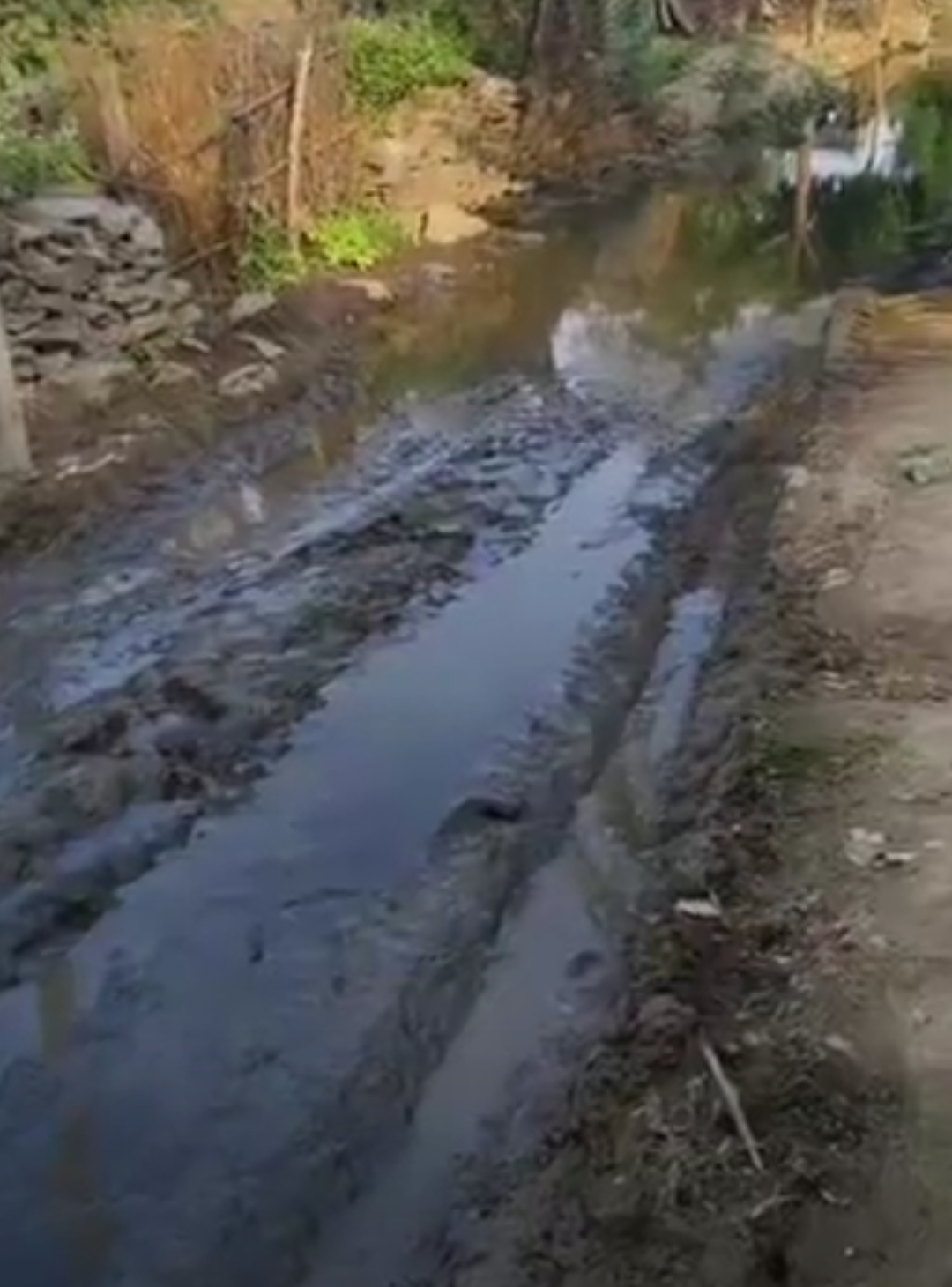 केदारा गांव के मुख्य मार्ग पर गंदा पानी जमा:लोगों को परेशानी, बीमारियों का खतरा; ग्रामीणों ने कलेक्टर से शिकायत की चेतावनी दी
