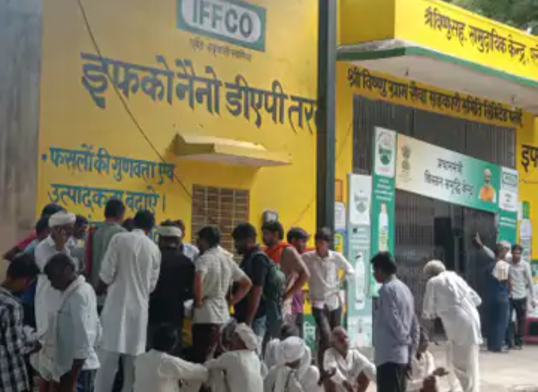 पलेई में किसानों को 600 कट्टे DAP खाद का वितरण:एक-एक कट्टा दिया गया, बचे हुए किसानों को दो दिन में मिलेगी खाद
