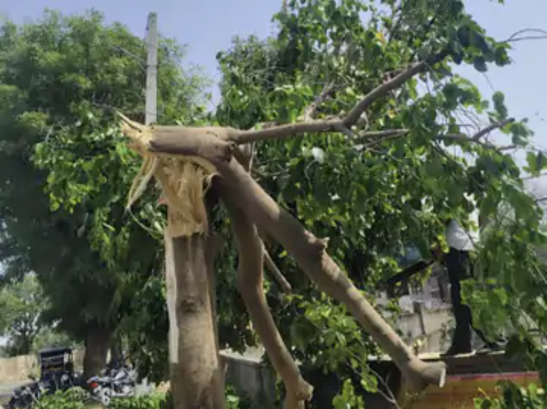 झिलाई में तेज आंधी-बारिश से बिजली लाइनों में फॉल्ट:रातभर सप्लाई ठप रहने से ग्रामीणों को हुई परेशानी