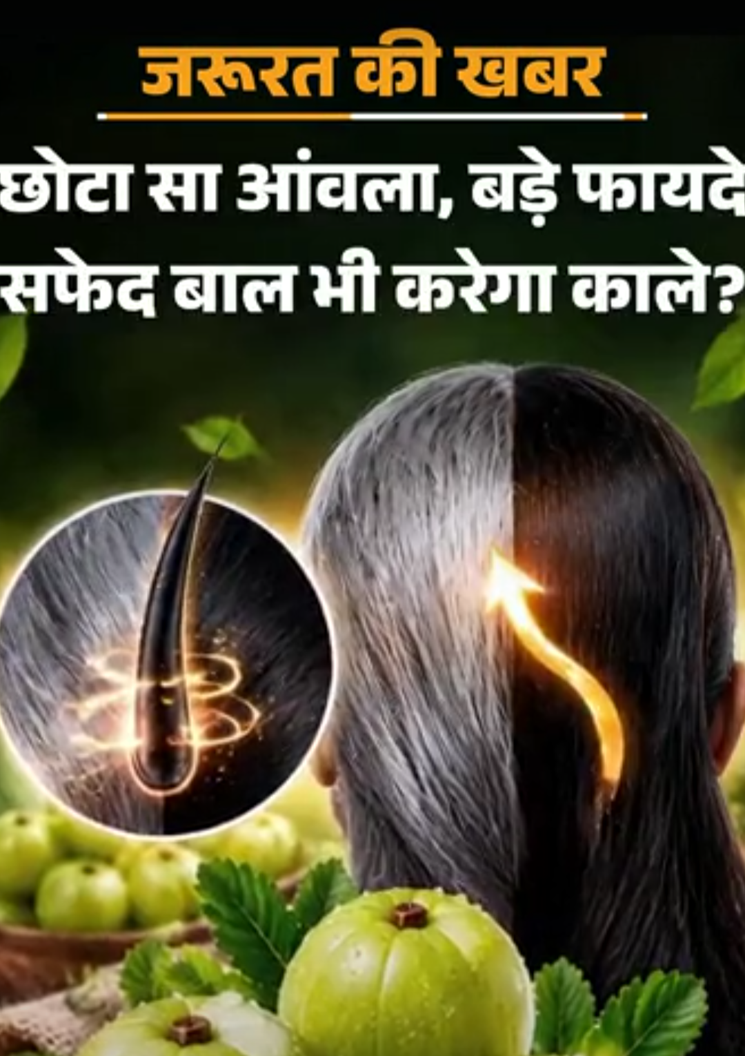 जरूरत की खबर- PM मोदी ने बताए आंवले के गुण:विटामिन C का पावरहाउस, विटामिन A का खजाना, डाइटीशियन से जानें खाने का सही तरीका