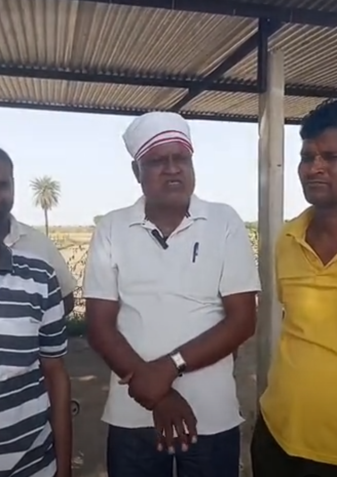 जंगली सुअरों से फसलें बर्बाद, किसान परेशान:पीपलू उपखंड के दर्जनों गांवों में प्रदर्शन कर प्रशासन से मांगा समाधान