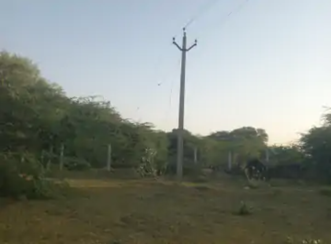 निवाई के लुणेरा में 11 केवी लाइन का तार टूटा:तीन दिन से बंद बिजली सप्लाई, हजारों किसान सिंचाई के लिए परेशान