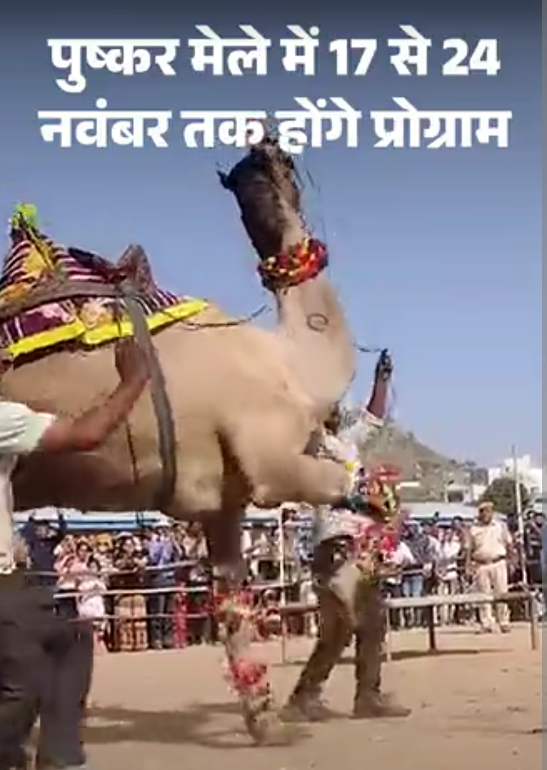 पुष्कर मेले में होगा ‘लगान’ जैसा क्रिकेट मैच:सबसे ज्यादा दूध देने वाली ऊंटनी के मुकाबले पर भी चर्चा, पढ़ें इस साल का पूरा कैलेंडर